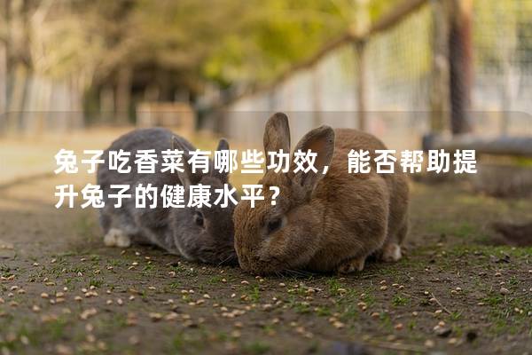 兔子吃香菜有哪些功效，能否帮助提升兔子的健康水平？