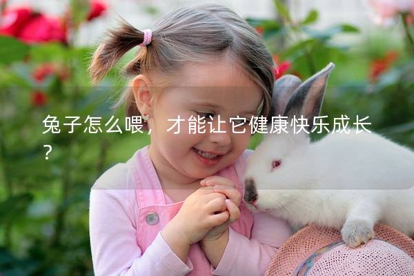 兔子怎么喂，才能让它健康快乐成长？