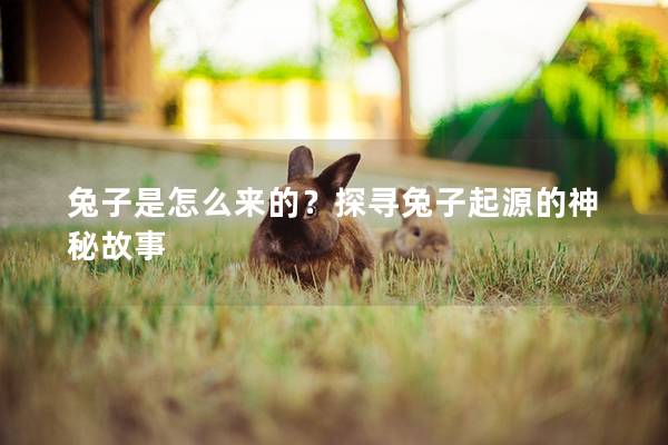 兔子是怎么来的？探寻兔子起源的神秘故事