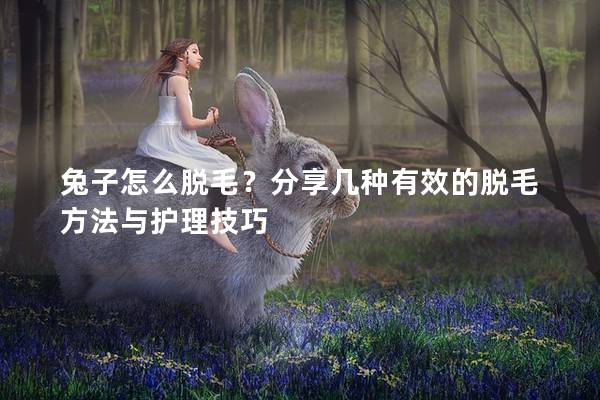 兔子怎么脱毛？分享几种有效的脱毛方法与护理技巧