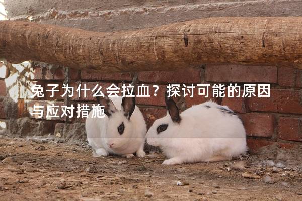 兔子为什么会拉血？探讨可能的原因与应对措施