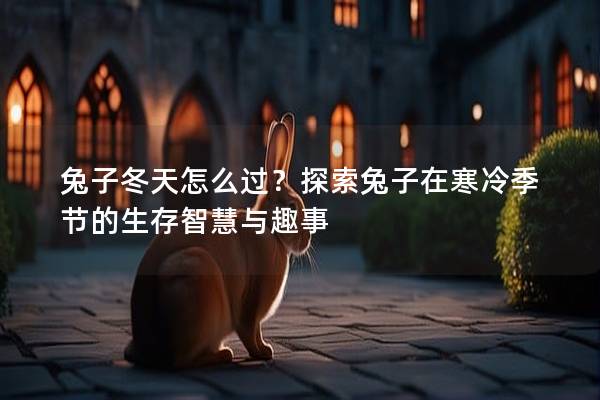 兔子冬天怎么过？探索兔子在寒冷季节的生存智慧与趣事