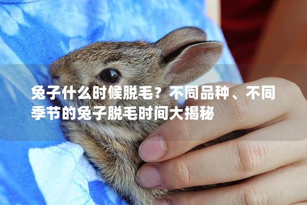 兔子什么时候脱毛？不同品种、不同季节的兔子脱毛时间大揭秘