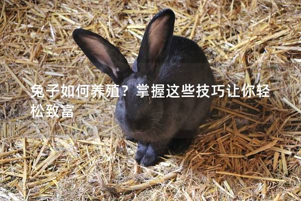 兔子如何养殖？掌握这些技巧让你轻松致富