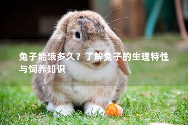 兔子能饿多久？了解兔子的生理特性与饲养知识
