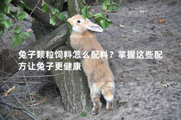 兔子颗粒饲料怎么配料？掌握这些配方让兔子更健康