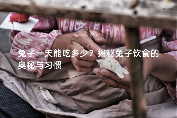 兔子一天能吃多少？揭秘兔子饮食的奥秘与习惯