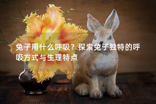 兔子用什么呼吸？探索兔子独特的呼吸方式与生理特点