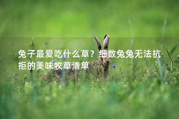 兔子最爱吃什么草？细数兔兔无法抗拒的美味牧草清单