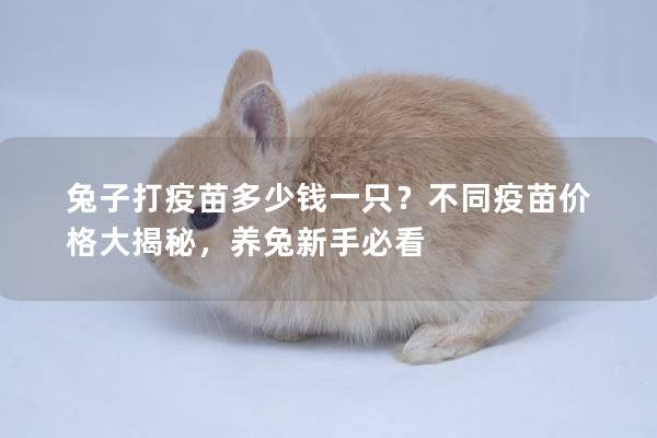 兔子打疫苗多少钱一只？不同疫苗价格大揭秘，养兔新手必看