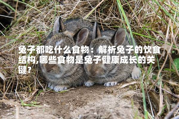 兔子都吃什么食物：解析兔子的饮食结构,哪些食物是兔子健康成长的关键？