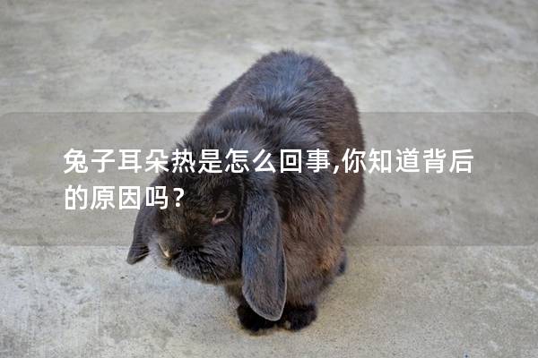 兔子耳朵热是怎么回事,你知道背后的原因吗？