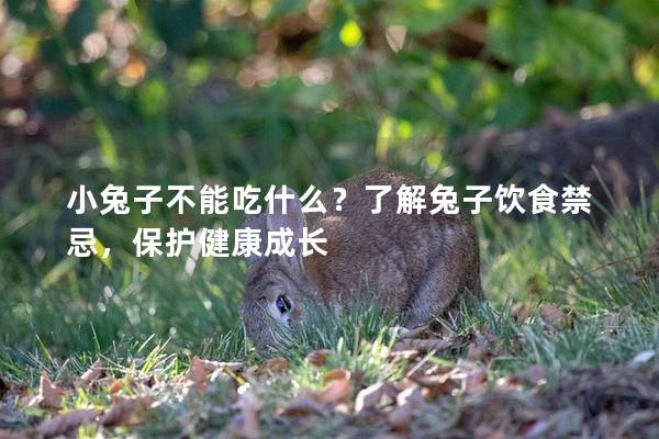 小兔子不能吃什么？了解兔子饮食禁忌，保护健康成长