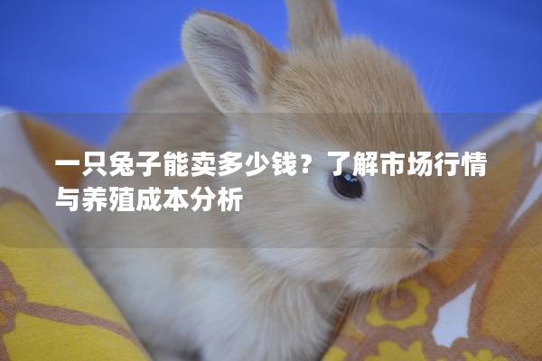 一只兔子能卖多少钱？了解市场行情与养殖成本分析