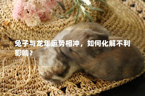 兔子与龙年运势相冲，如何化解不利影响？