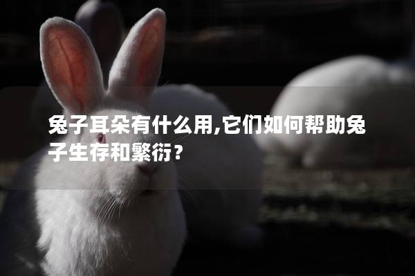 兔子耳朵有什么用,它们如何帮助兔子生存和繁衍？