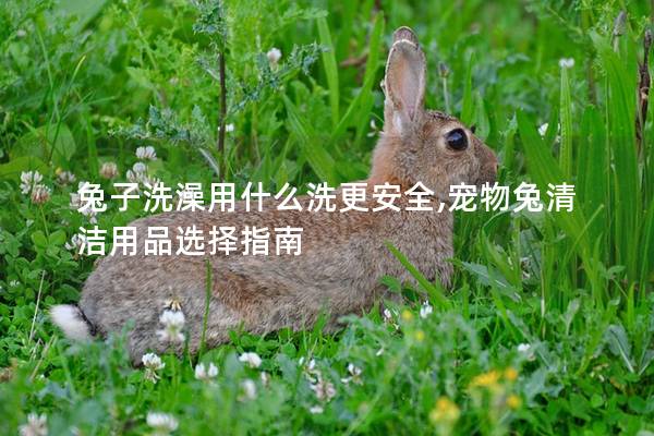 兔子洗澡用什么洗更安全,宠物兔清洁用品选择指南
