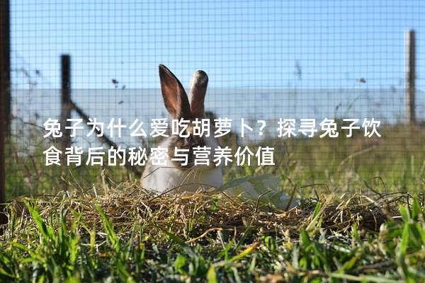 兔子为什么爱吃胡萝卜？探寻兔子饮食背后的秘密与营养价值