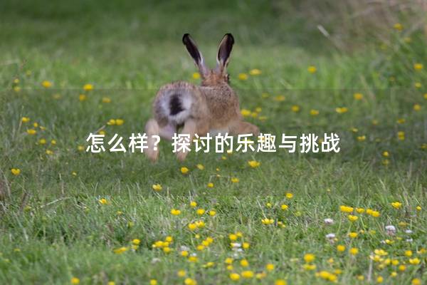 怎么样？探讨的乐趣与挑战