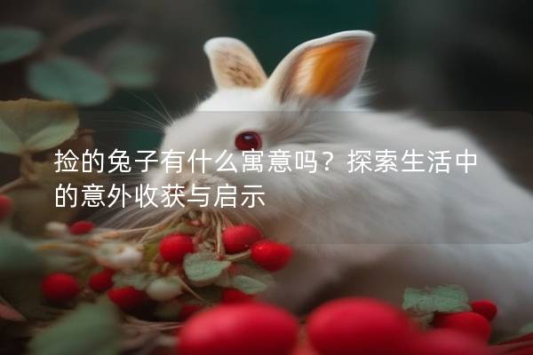 捡的兔子有什么寓意吗？探索生活中的意外收获与启示