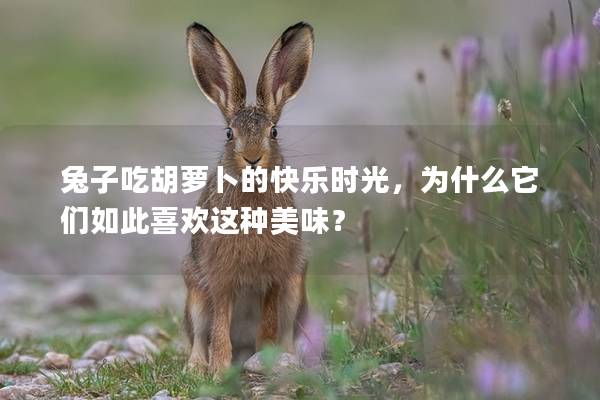 兔子吃胡萝卜的快乐时光，为什么它们如此喜欢这种美味？
