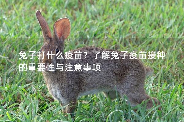 兔子打什么疫苗？了解兔子疫苗接种的重要性与注意事项