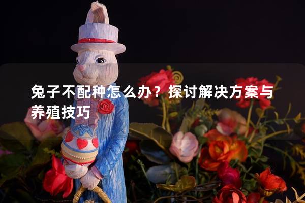 兔子不配种怎么办？探讨解决方案与养殖技巧
