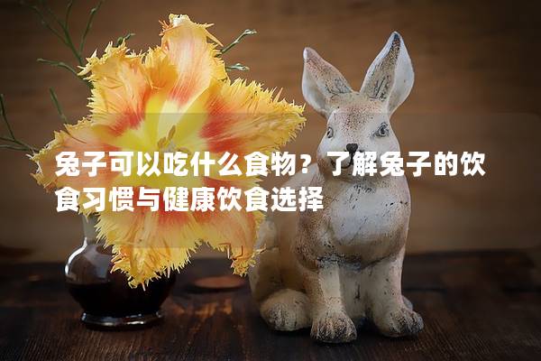 兔子可以吃什么食物？了解兔子的饮食习惯与健康饮食选择