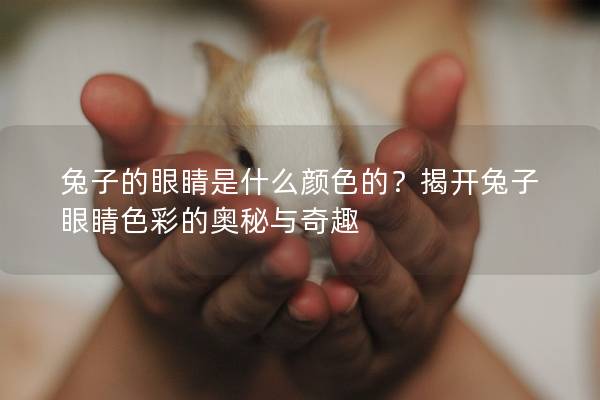 兔子的眼睛是什么颜色的？揭开兔子眼睛色彩的奥秘与奇趣