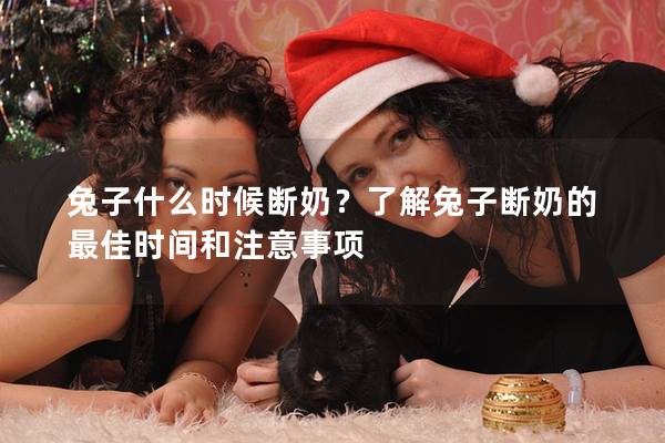 兔子什么时候断奶？了解兔子断奶的最佳时间和注意事项