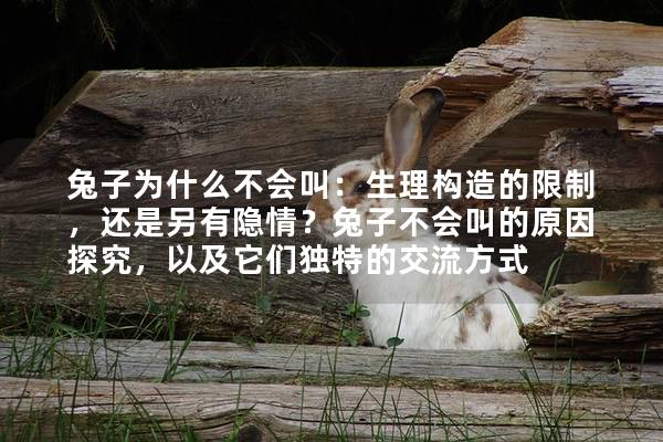 兔子为什么不会叫：生理构造的限制，还是另有隐情？兔子不会叫的原因探究，以及它们独特的交流方式