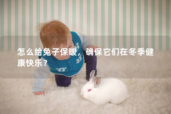 怎么给兔子保暖，确保它们在冬季健康快乐？