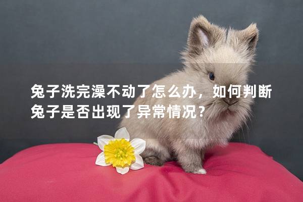 兔子洗完澡不动了怎么办，如何判断兔子是否出现了异常情况？