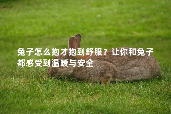 兔子怎么抱才抱到舒服？让你和兔子都感受到温暖与安全