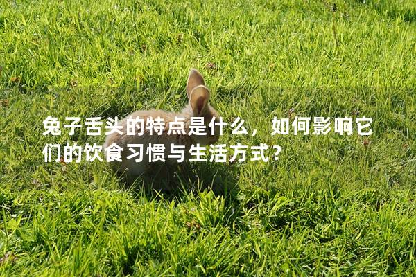 兔子舌头的特点是什么，如何影响它们的饮食习惯与生活方式？