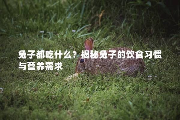 兔子都吃什么？揭秘兔子的饮食习惯与营养需求