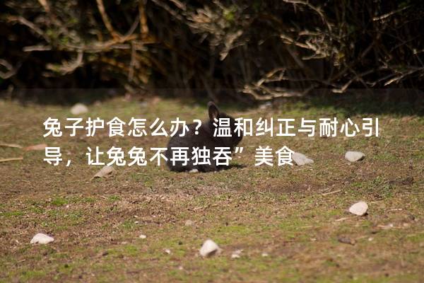 兔子护食怎么办？温和纠正与耐心引导，让兔兔不再独吞”美食