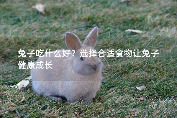 兔子吃什么好？选择合适食物让兔子健康成长