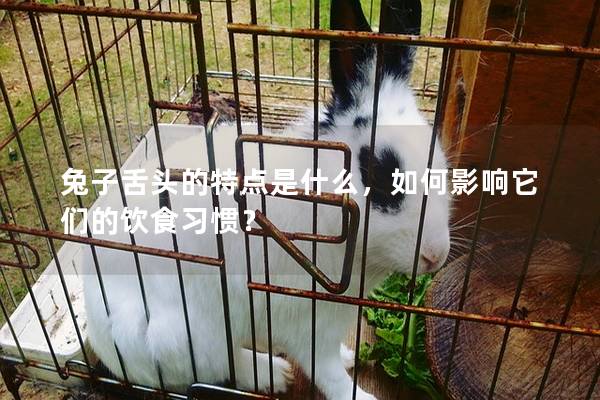 兔子舌头的特点是什么，如何影响它们的饮食习惯？