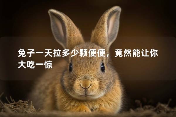 兔子一天拉多少颗便便，竟然能让你大吃一惊
