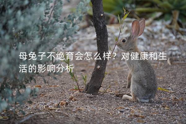 母兔子不绝育会怎么样？对健康和生活的影响分析