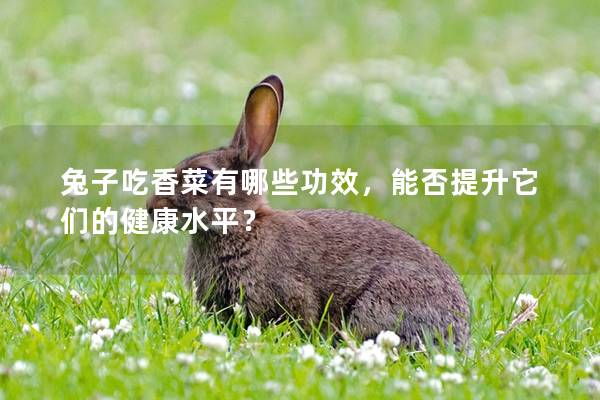 兔子吃香菜有哪些功效，能否提升它们的健康水平？
