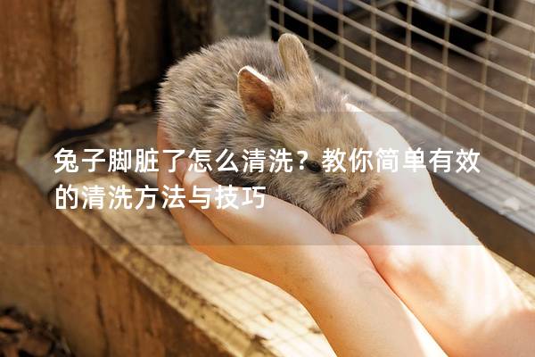 兔子脚脏了怎么清洗？教你简单有效的清洗方法与技巧