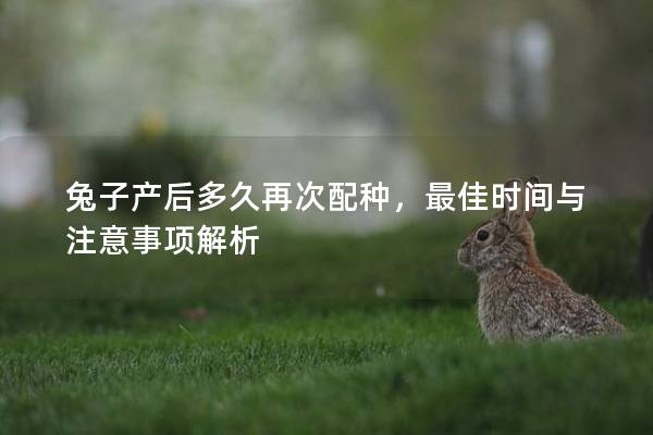 兔子产后多久再次配种，最佳时间与注意事项解析