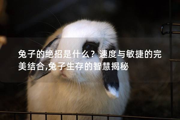 兔子的绝招是什么？速度与敏捷的完美结合,兔子生存的智慧揭秘