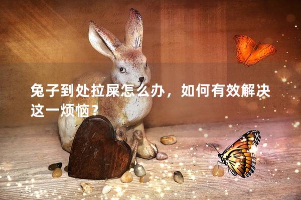 兔子到处拉屎怎么办，如何有效解决这一烦恼？