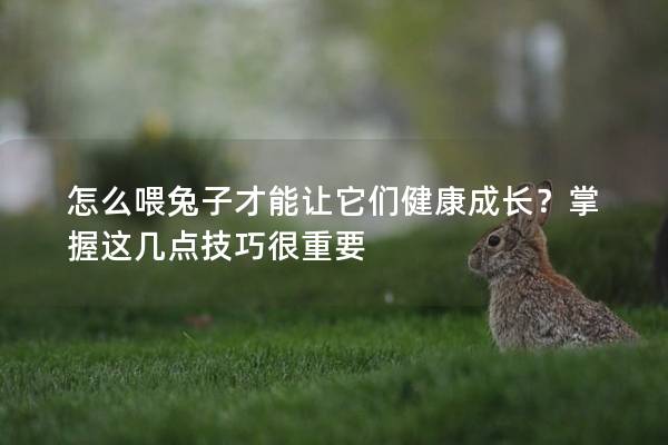 怎么喂兔子才能让它们健康成长？掌握这几点技巧很重要