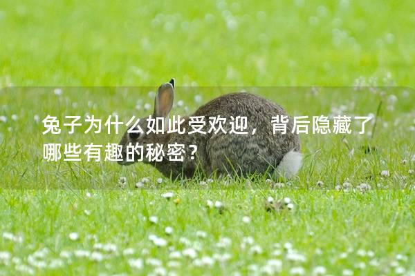 兔子为什么如此受欢迎，背后隐藏了哪些有趣的秘密？