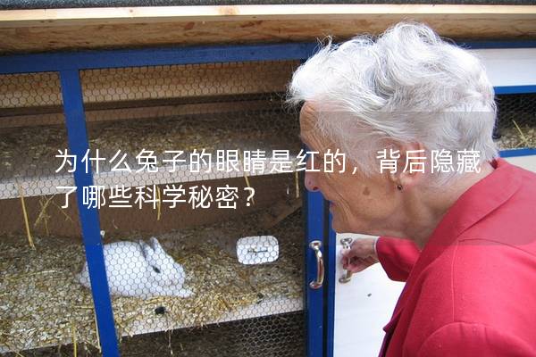 为什么兔子的眼睛是红的，背后隐藏了哪些科学秘密？