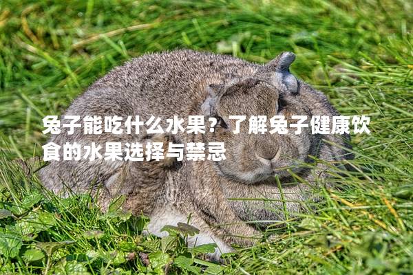 兔子能吃什么水果？了解兔子健康饮食的水果选择与禁忌